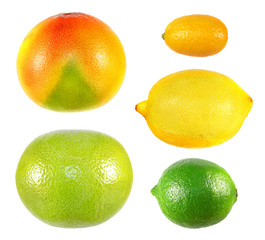 Set of different unpeeled citrus fruits isolated on white background