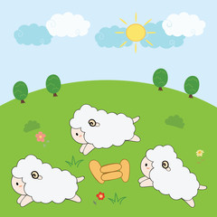 cute sheep in farm
