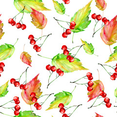 Fototapety  Akwarela rocznika bezszwowe tło jesień. Z rozwodami farby czerwony, pomarańczowy, zielony żółty. Z jesiennymi liśćmi, czerwone jagody. Piękne, stylowe stylowe tło.