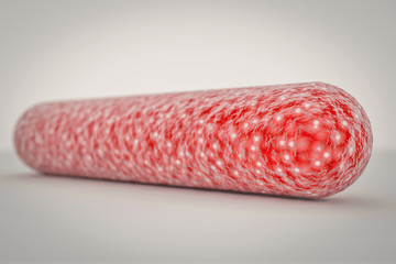 Bacteria, bacterial infection, antibiotics resistant bacteria, Escherichia E coli cell 3D rendering