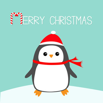 Merry Christmas Candy cane text. Kawaii Penguin bird on snowdrift. Red Santa Claus hat, scarf. Cute cartoon baby character. Flat design Winter blue background. Greeting card.
