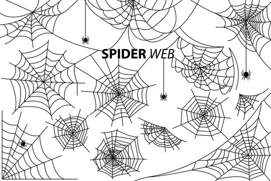 Spider Web Collection of Illustrations on White