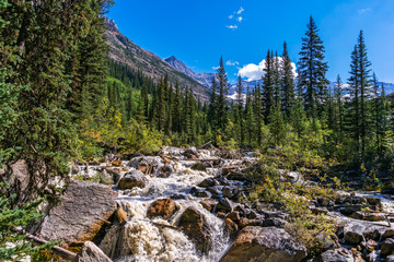 Falls of the Louise Creek at the Plain of Six Glaciers trail near Lake Louise