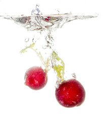 radish in water isolated on white background