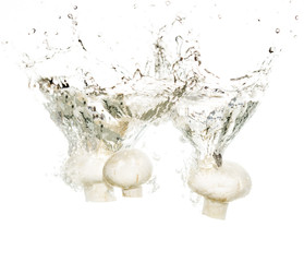 mushrooms champignons in water isolated on white background