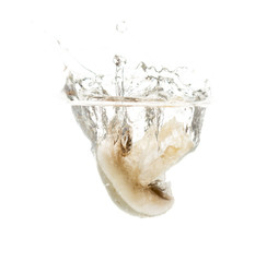 mushrooms champignons in water isolated on white background