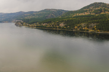 Obraz premium Autumn landscape, golden forest, river, cloudy day