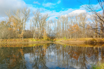 Fototapeta na wymiar Autumn landscape. Forest lake in autumn forest in sunshine
