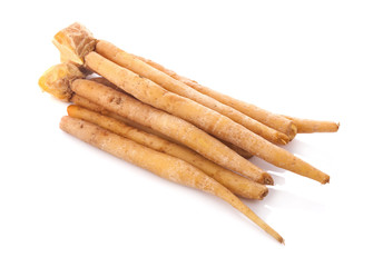 finger root (Krachai) Thai herb