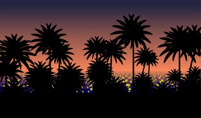 Fototapeta na wymiar Sunset with palms
