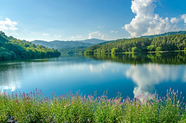 Landscape of the dam and lake on the mountain with tree and forest and the rock with beautiful blue sky and clouds on sunshine day.