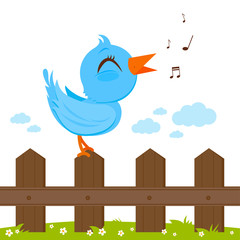 Blue bird singing on a wooden fence. Vector illustration