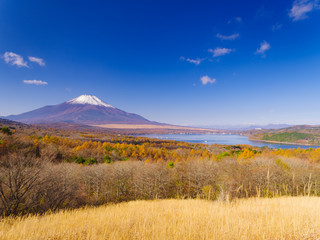 パノラマ台からの富士山