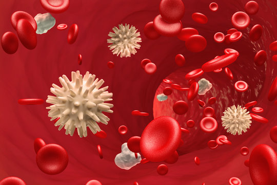 Bloodstream view from the inside. Artery, veins and blood cells. 3D illustration on medical research