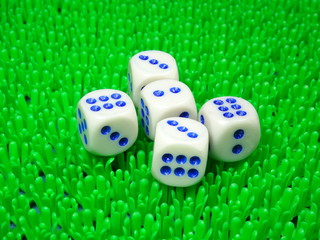 Dice on green background
