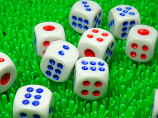 Dice on green background