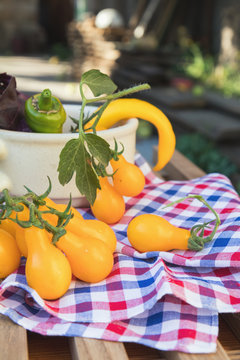 Yellow hot pepper and yellow tomatoes with purple basil