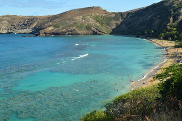 Fototapeta na wymiar Honolulu Beach With Large Reefs Full Of Precious Fish. Oahu, Hawaii, USA, EEUU.