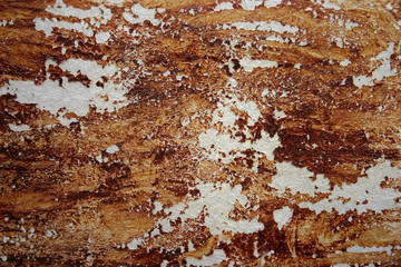 Metal rustic grunge plate