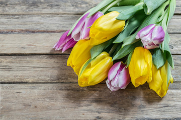 Tulip flowers on wooden background