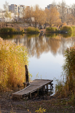 Pontoon and Phragmites australis close to the lake in autumn, in Kiev, Ukraine