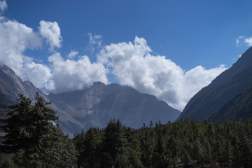 Peak and Forest in the Himalaya mountains, Annapurna region, Nepal