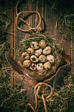 Quail eggs in a hay nest