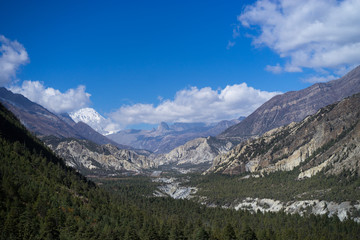 Peak and Forest in the Himalaya mountains, Annapurna region, Nepal