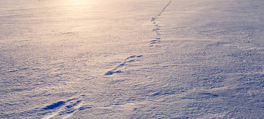 Snow with traces on it