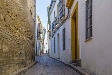 Narrow streets and typical houses of Cordoba, Spain