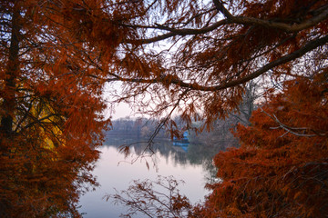 Autumn trees and colors in the park