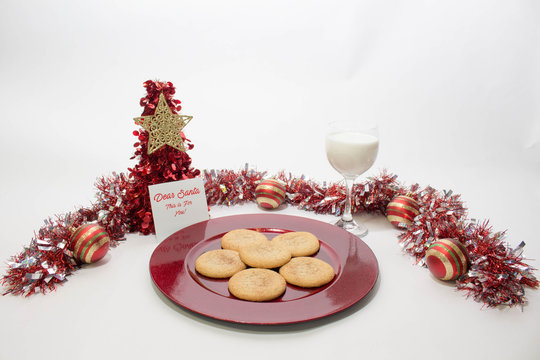 Christmas Cookies and Milk for Santa