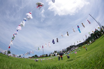 晩夏の饗宴