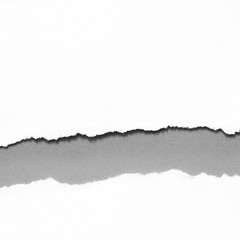 Gray ripped paper texture background. copy space