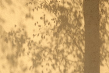 Blurred bright autumn background. Abstract colorful bokeh