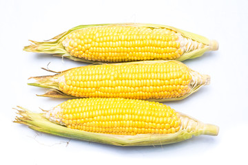  corn isolated on white background