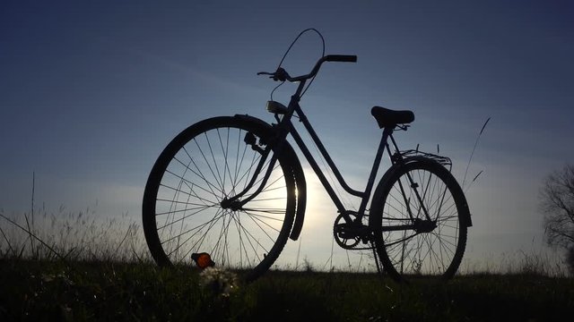 A bike in a meadow against a background of blue sky