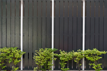 Wooden fence with trees in front.
