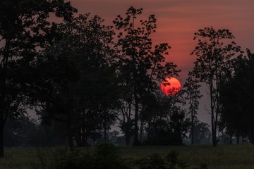 Fototapeta na wymiar Red sunset in tropical forest