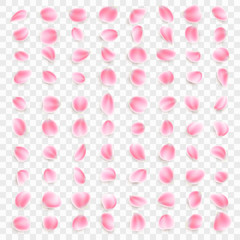 Set of Sakura flowers petals on transparent background. EPS 10 vector