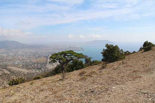 On a Mountain Socol (Sokol) (Falcon) peak overlooking the Black sea, Crimea.