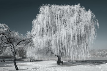 Winterlandschaft