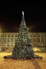 christmas tree in Ostrava city