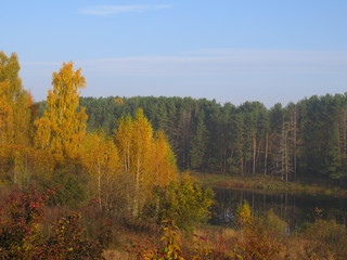Fototapeta premium Autumn. Tree. Bryansk oblast. (The Vast Russia! Sergey, Bryansk.)