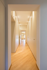 Modern corridor with wardrobes