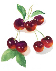 Cherries
