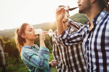 People tasting wine in vineyard