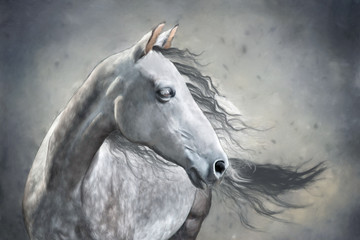 Plakat portrait of a horse