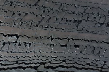 Foto op Canvas Close up of grey quartzite stone texture. © Dmytro Synelnychenko