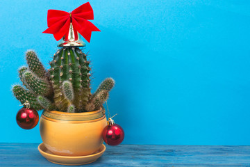 Christmas in tropical climate concept. Cactus as festive tree on bright pastel background with...